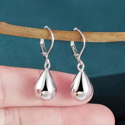 Drop Silver Earrings
