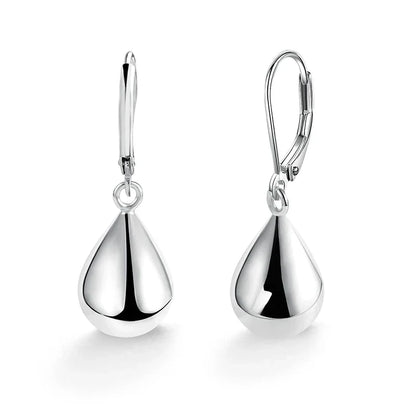 Drop Silver Earrings