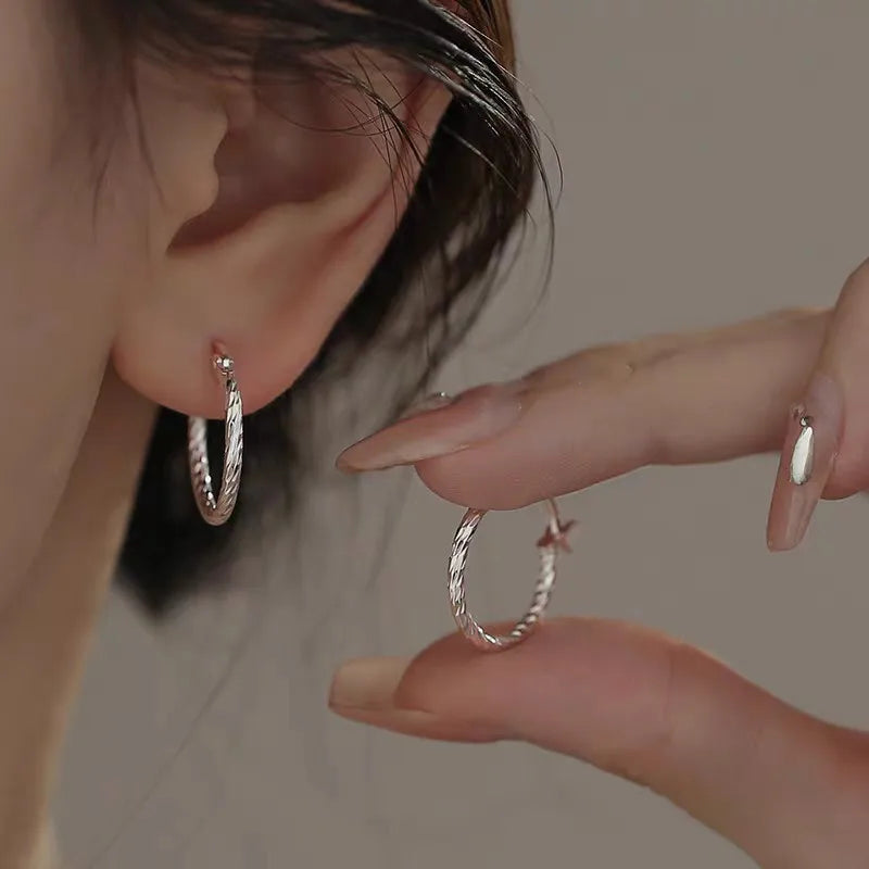 Twisted Hoop Silver Earrings