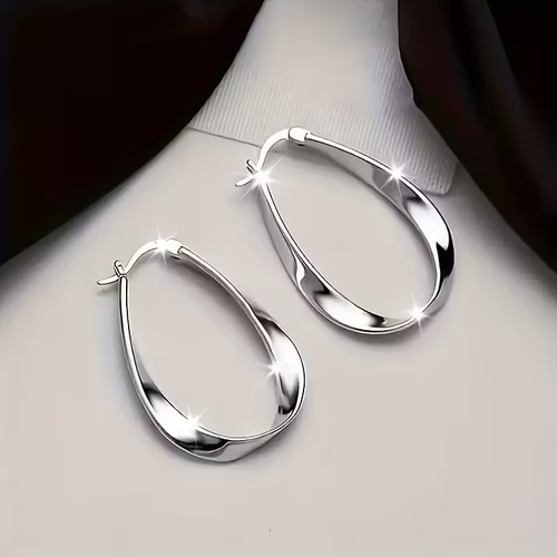 Retro Twisted Hoop Silver Earrings